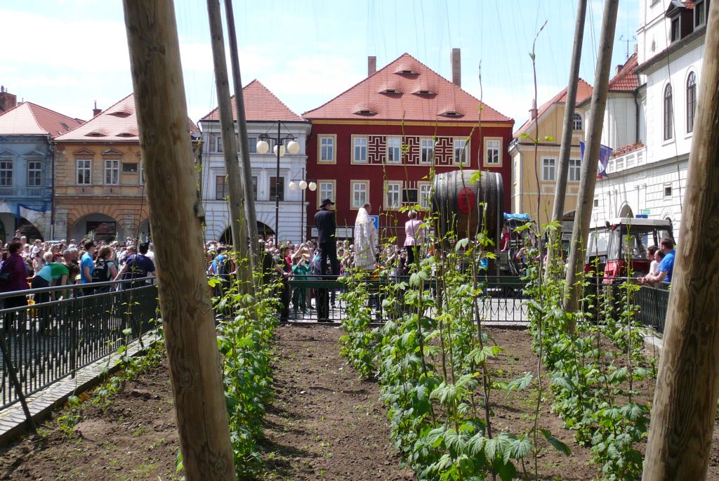 Starostka Žatce narazila sud s pivem (8. 5. 2015). | Foto: J. Ježek Foto: J. Ježek