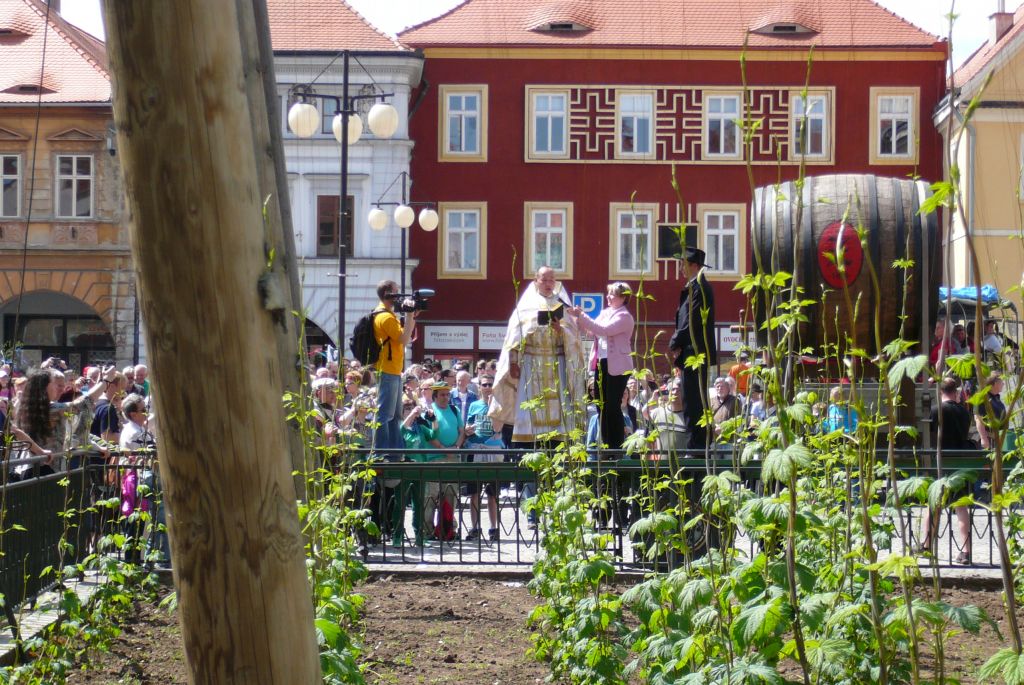 Požehnání letošní úrodě chmele (8. 5. 2015). | Foto: J. Ježek Foto: J. Ježek