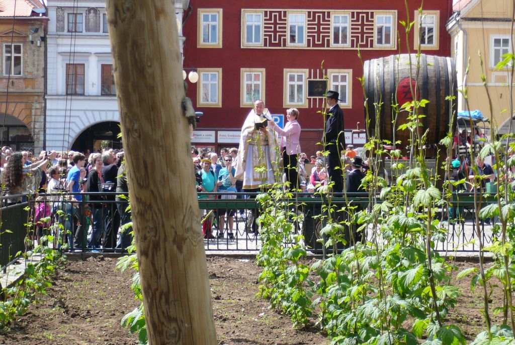 Požehnání letošní úrodě chmele (8. 5. 2015). | Foto: J. Ježek Foto: J. Ježek