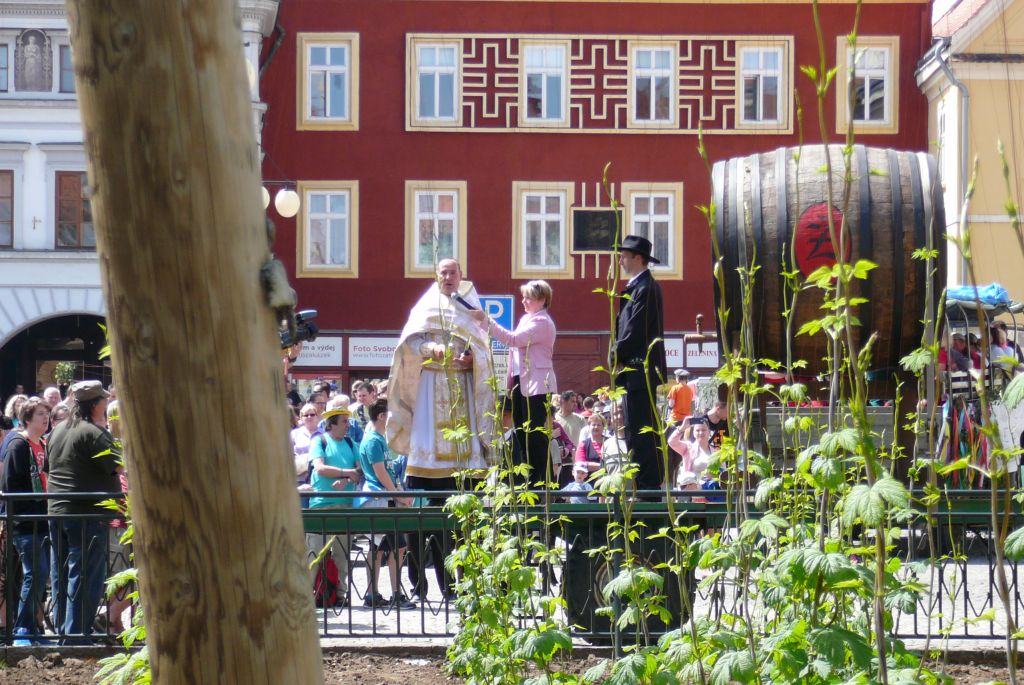 Požehnání letošní úrodě chmele (8. 5. 2015). | Foto: J. Ježek Foto: J. Ježek