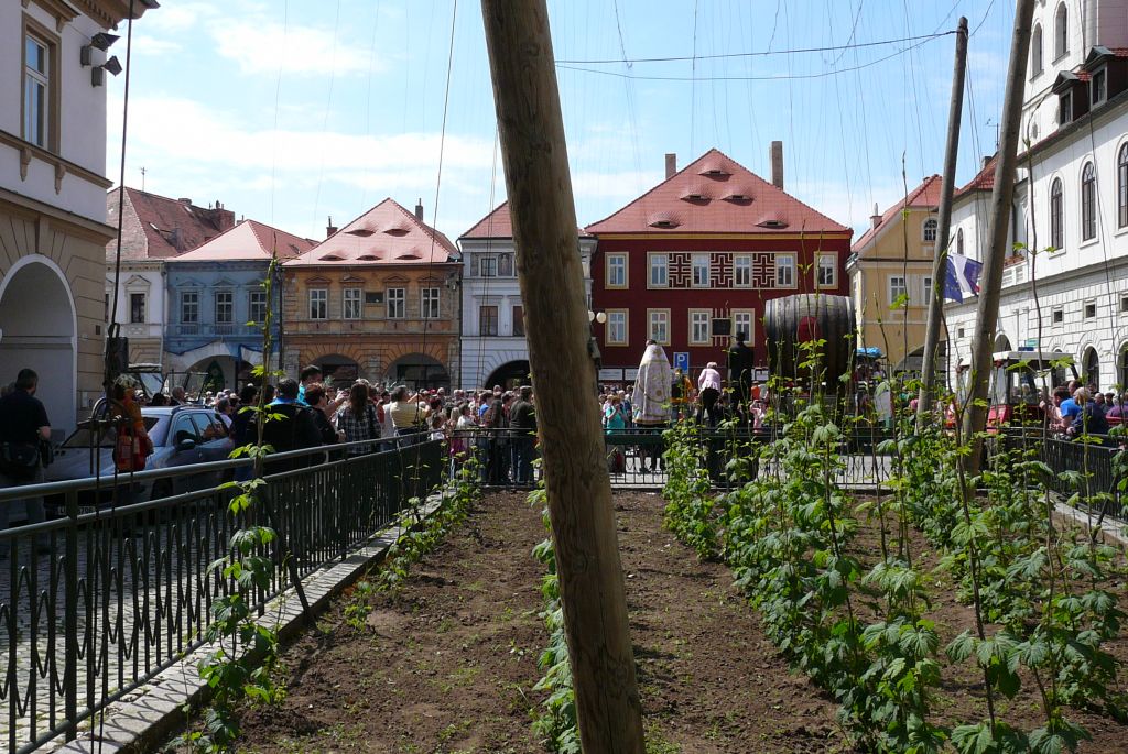 Chmelfest v Žatci (8. 5. 2015). | Foto: J. Ježek Foto: J. Ježek
