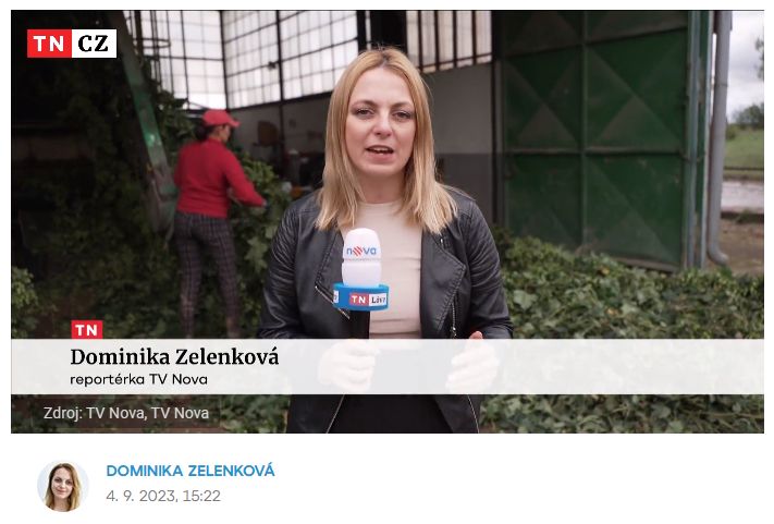 Zdroj: https://tn.nova.cz/zpravodajstvi/clanek/520798-chmelari-si-chvali-letosni-urodu-vliv-na-to-ma-hlavne-pocasi