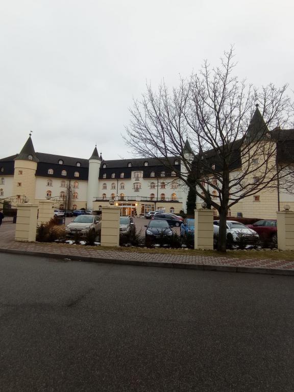 Chmelařský kongres (Senohraby, 25. 1. 2022). | Foto: L. Šulcová Foto: L. Šulcová