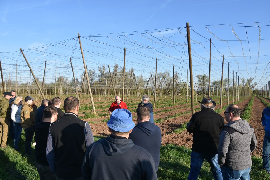 Praktická ukázka řezu chmele ŽPČ na Stekníku (23. 4. 2025). | Foto: J. Ježek Foto: J. Ježek