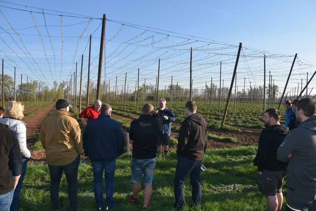 Praktická ukázka řezu chmele ŽPČ na Stekníku (23. 4. 2025). | Foto: J. Ježek Foto: J. Ježek