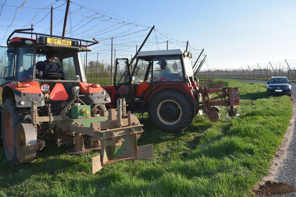 Praktická ukázka řezu chmele ŽPČ na Stekníku (23. 4. 2025). | Foto: J. Ježek Foto: J. Ježek