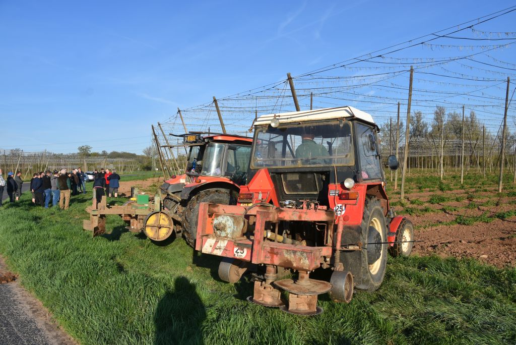 Praktická ukázka řezu chmele ŽPČ na Stekníku (23. 4. 2025). | Foto: J. Ježek Foto: J. Ježek