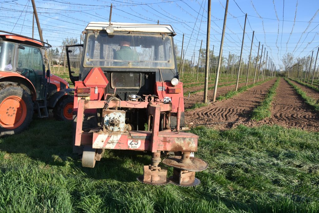 Praktická ukázka řezu chmele ŽPČ na Stekníku (23. 4. 2025). | Foto: J. Ježek Foto: J. Ježek