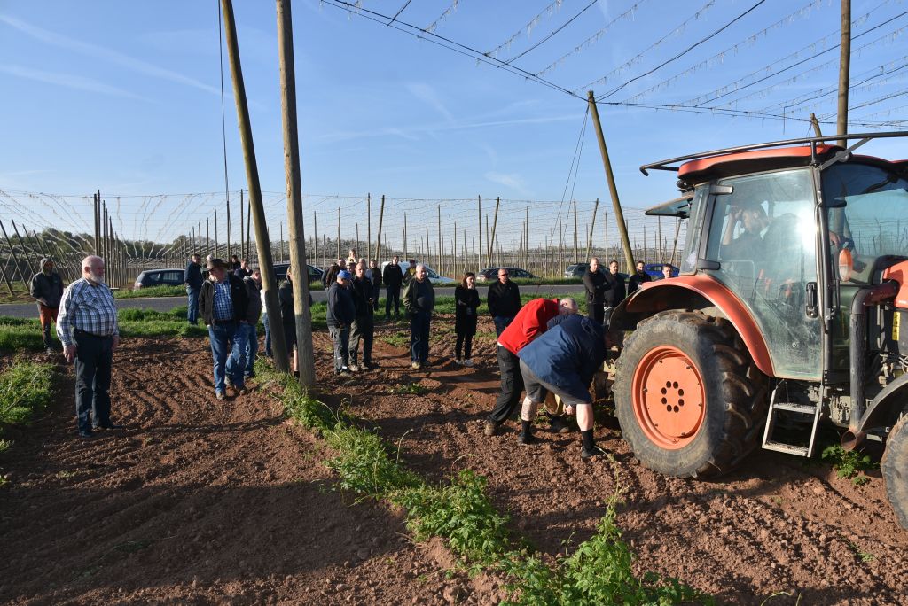 Praktická ukázka řezu chmele ŽPČ na Stekníku (23. 4. 2025). | Foto: J. Ježek Foto: J. Ježek