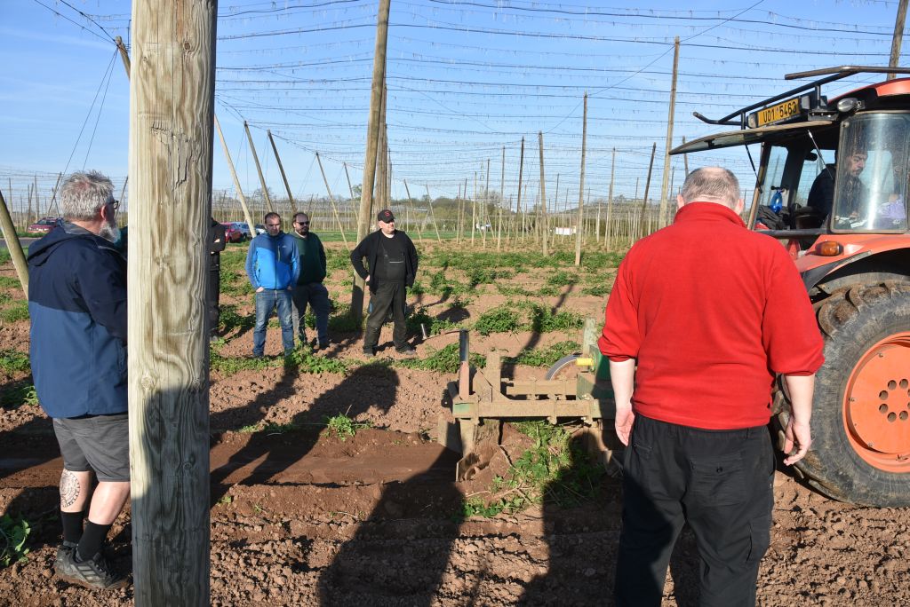 Praktická ukázka řezu chmele ŽPČ na Stekníku (23. 4. 2025). | Foto: J. Ježek Foto: J. Ježek