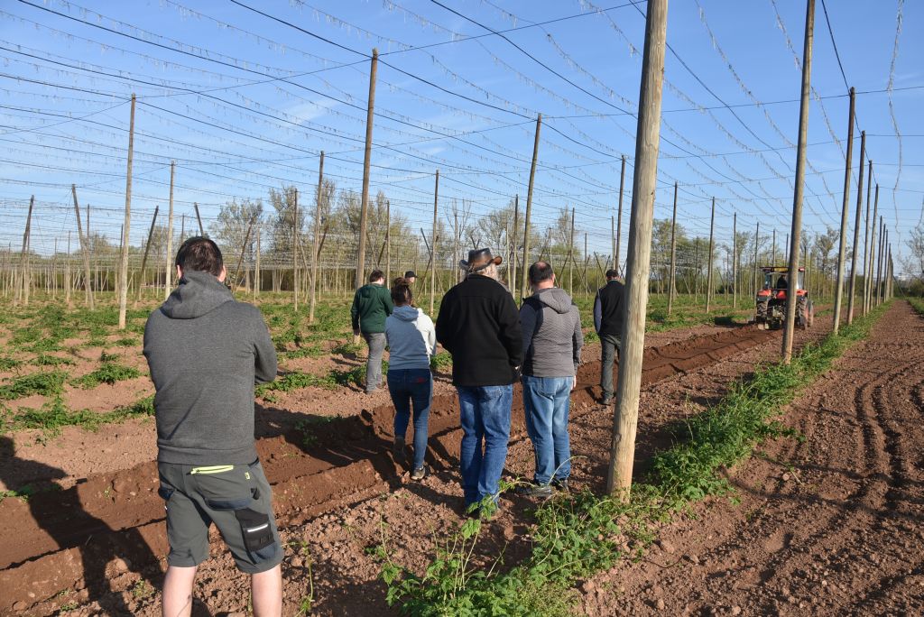 Praktická ukázka řezu chmele ŽPČ na Stekníku (23. 4. 2025). | Foto: J. Ježek Foto: J. Ježek