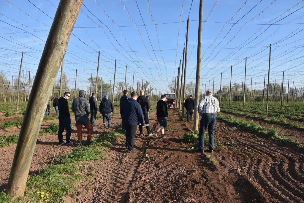 Praktická ukázka řezu chmele ŽPČ na Stekníku (23. 4. 2025). | Foto: J. Ježek Foto: J. Ježek
