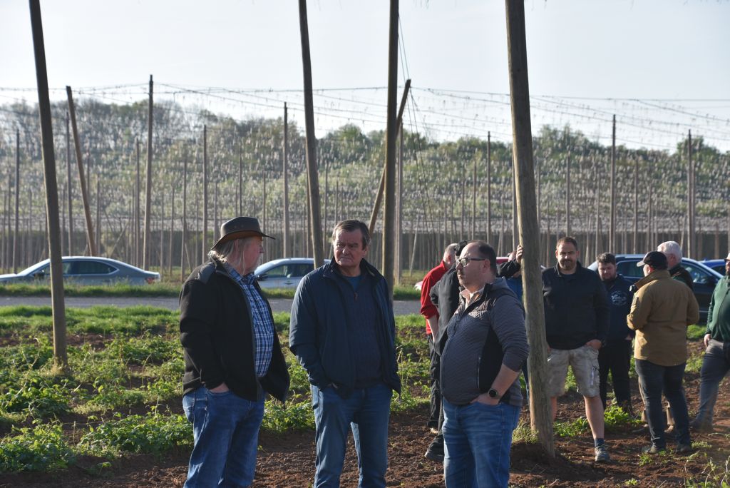 Praktická ukázka řezu chmele ŽPČ na Stekníku (23. 4. 2025). | Foto: J. Ježek Foto: J. Ježek