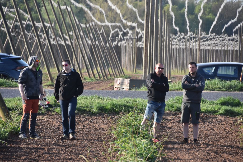 Praktická ukázka řezu chmele ŽPČ na Stekníku (23. 4. 2025). | Foto: J. Ježek Foto: J. Ježek
