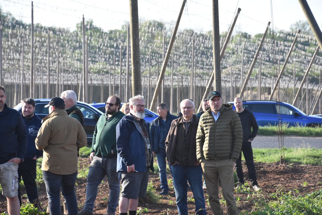 Praktická ukázka řezu chmele ŽPČ na Stekníku (23. 4. 2025). | Foto: J. Ježek Foto: J. Ježek