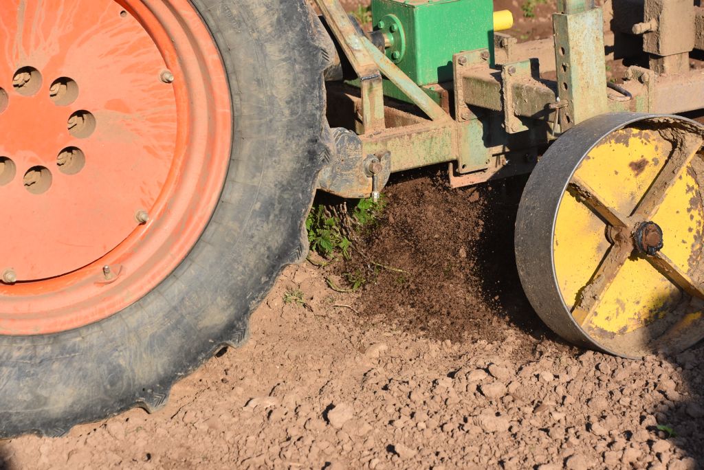 Praktická ukázka řezu chmele ŽPČ na Stekníku (23. 4. 2025). | Foto: J. Ježek Foto: J. Ježek