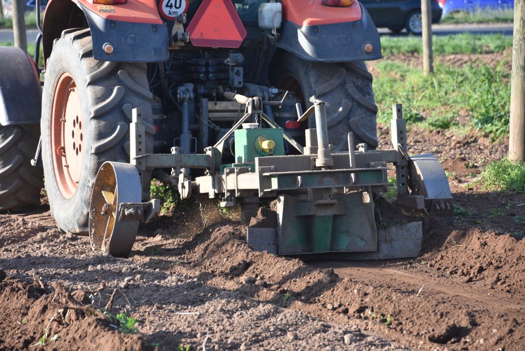 Praktická ukázka řezu chmele ŽPČ na Stekníku (23. 4. 2025). | Foto: J. Ježek Foto: J. Ježek