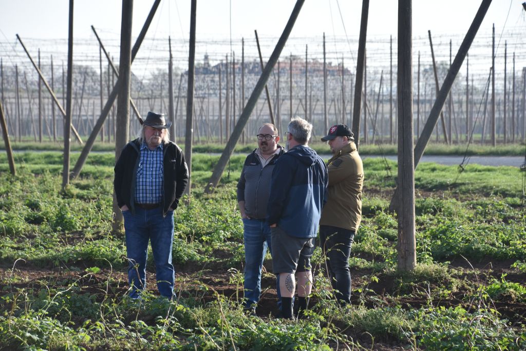 Praktická ukázka řezu chmele ŽPČ na Stekníku (23. 4. 2025). | Foto: J. Ježek Foto: J. Ježek