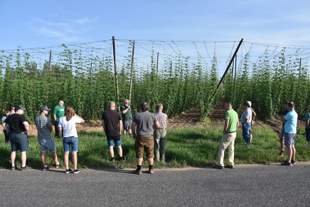 Navazující workshop po řezu ŽPČ a ukázka balíčkové sadby z produkce CHI (Stekník, 26. 6. 2025). | Foto: J. Ježek Foto: J. Ježek