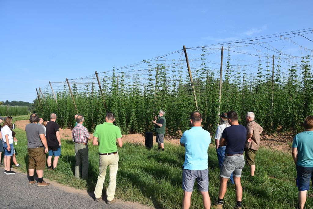 Navazující workshop po řezu ŽPČ a ukázka balíčkové sadby z produkce CHI (Stekník, 26. 6. 2025). | Foto: J. Ježek Foto: J. Ježek