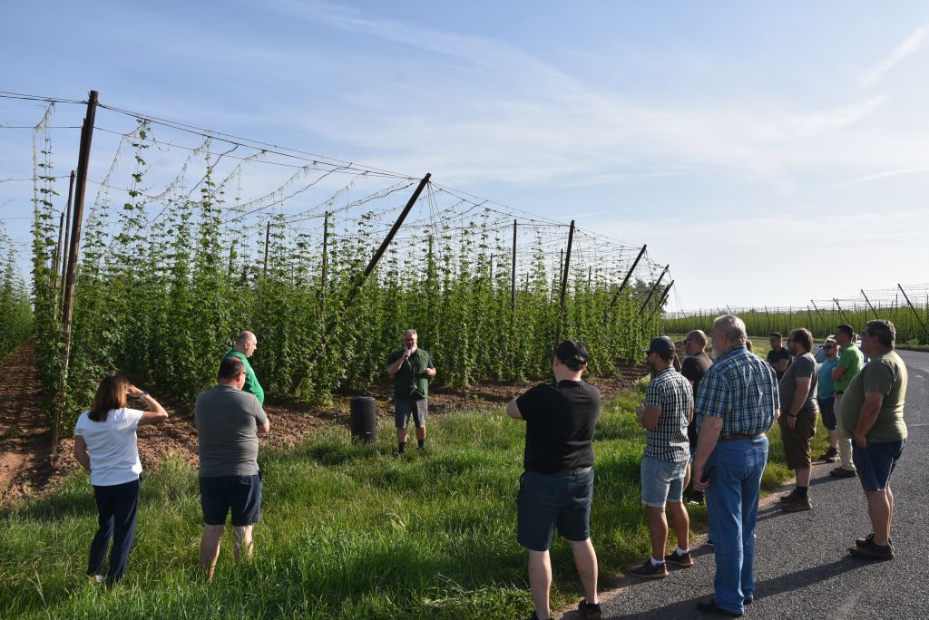 Navazující workshop po řezu ŽPČ a ukázka balíčkové sadby z produkce CHI (Stekník, 26. 6. 2025). | Foto: J. Ježek Foto: J. Ježek