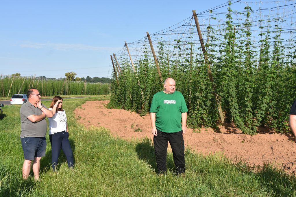Navazující workshop po řezu ŽPČ a ukázka balíčkové sadby z produkce CHI (Stekník, 26. 6. 2025). | Foto: J. Ježek Foto: J. Ježek
