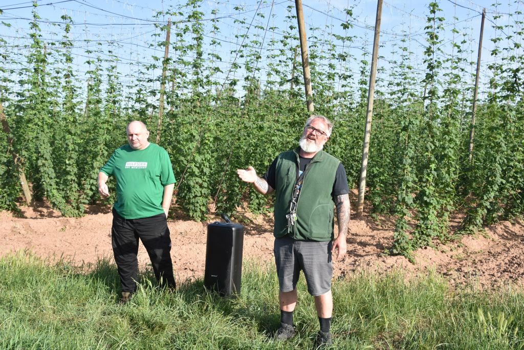 Navazující workshop po řezu ŽPČ a ukázka balíčkové sadby z produkce CHI (Stekník, 26. 6. 2025). | Foto: J. Ježek Foto: J. Ježek