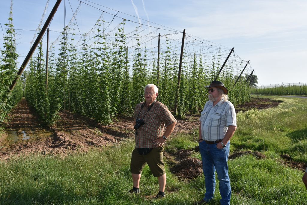Navazující workshop po řezu ŽPČ a ukázka balíčkové sadby z produkce CHI (Stekník, 26. 6. 2025). | Foto: J. Ježek Foto: J. Ježek