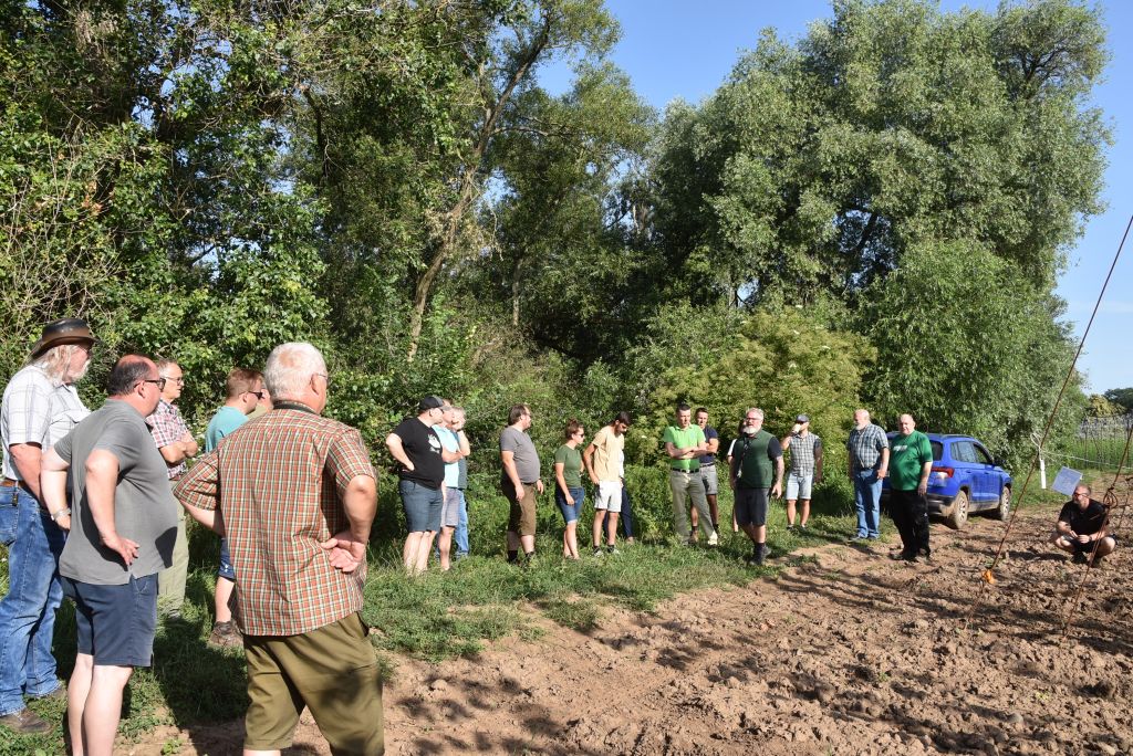 Navazující workshop po řezu ŽPČ a ukázka balíčkové sadby z produkce CHI (Stekník, 26. 6. 2025). | Foto: J. Ježek Foto: J. Ježek