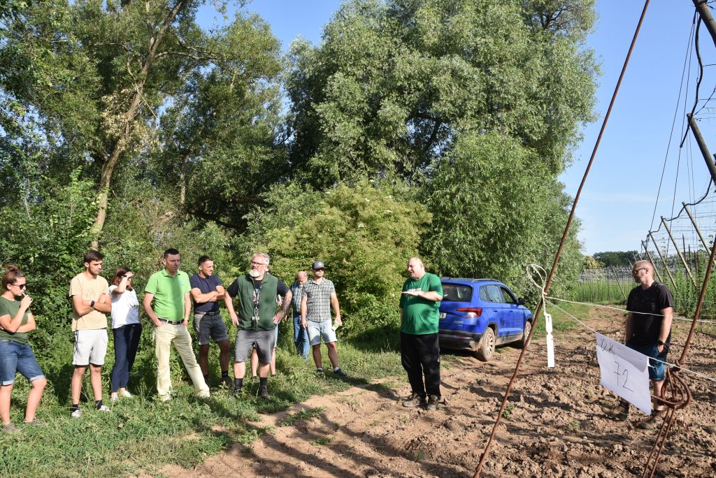 Navazující workshop po řezu ŽPČ a ukázka balíčkové sadby z produkce CHI (Stekník, 26. 6. 2025). | Foto: J. Ježek Foto: J. Ježek
