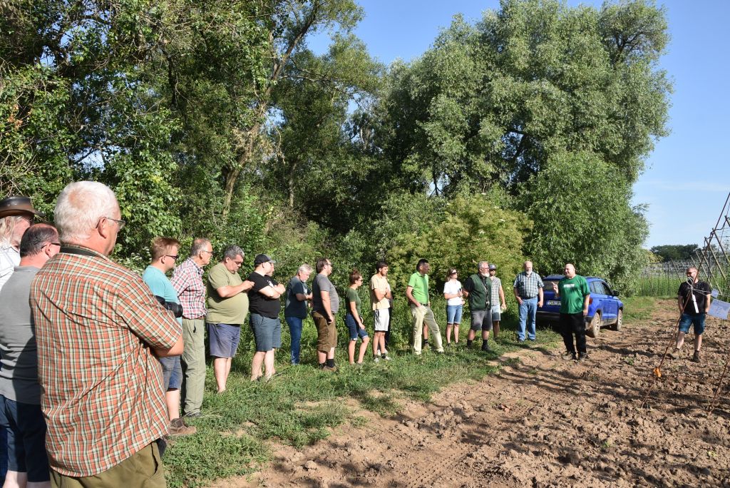 Navazující workshop po řezu ŽPČ a ukázka balíčkové sadby z produkce CHI (Stekník, 26. 6. 2025). | Foto: J. Ježek Foto: J. Ježek